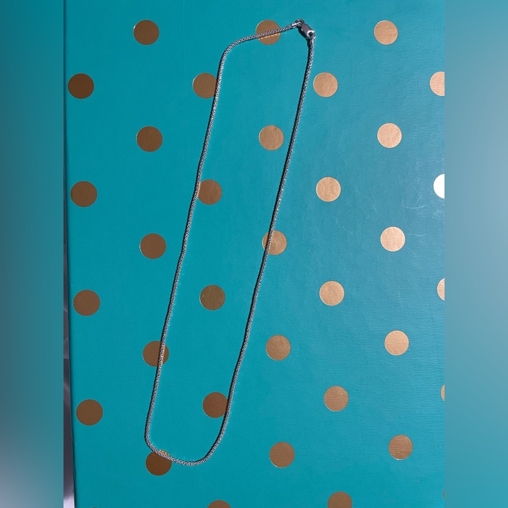 BNWOT Sterling Silver chain